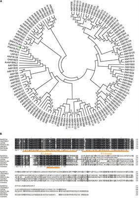 EgMIXTA1, a MYB-Type Transcription Factor, Promotes Cuticular Wax Formation in Eustoma grandiflorum Leaves